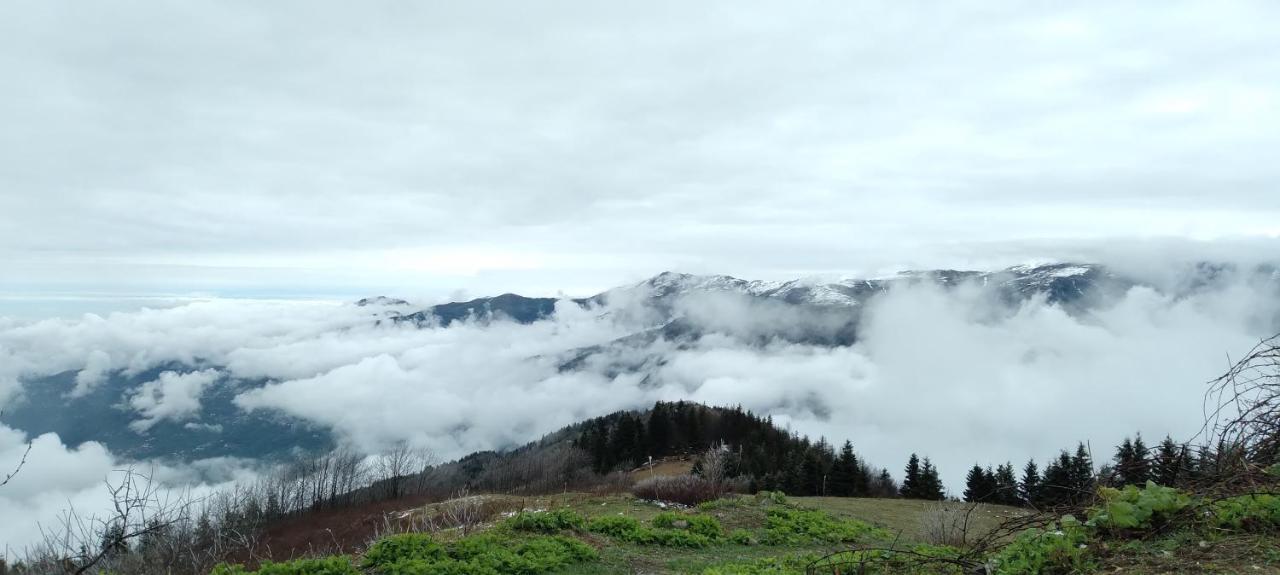 Erdem Apart Otel Trabzon Kültér fotó