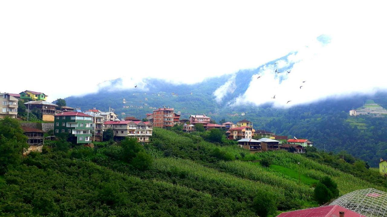 Erdem Apart Otel Trabzon Kültér fotó